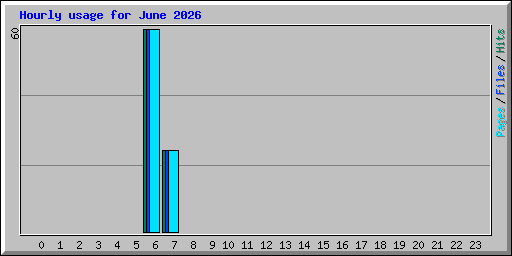 Hourly usage for June 2026