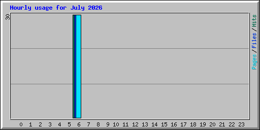 Hourly usage for July 2026