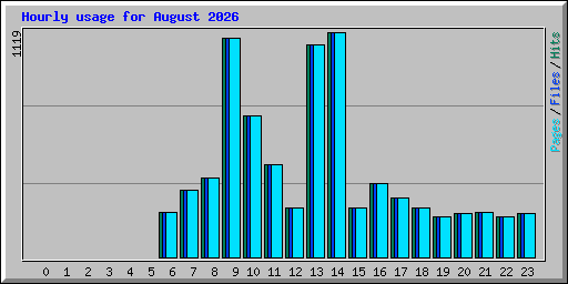 Hourly usage for August 2026